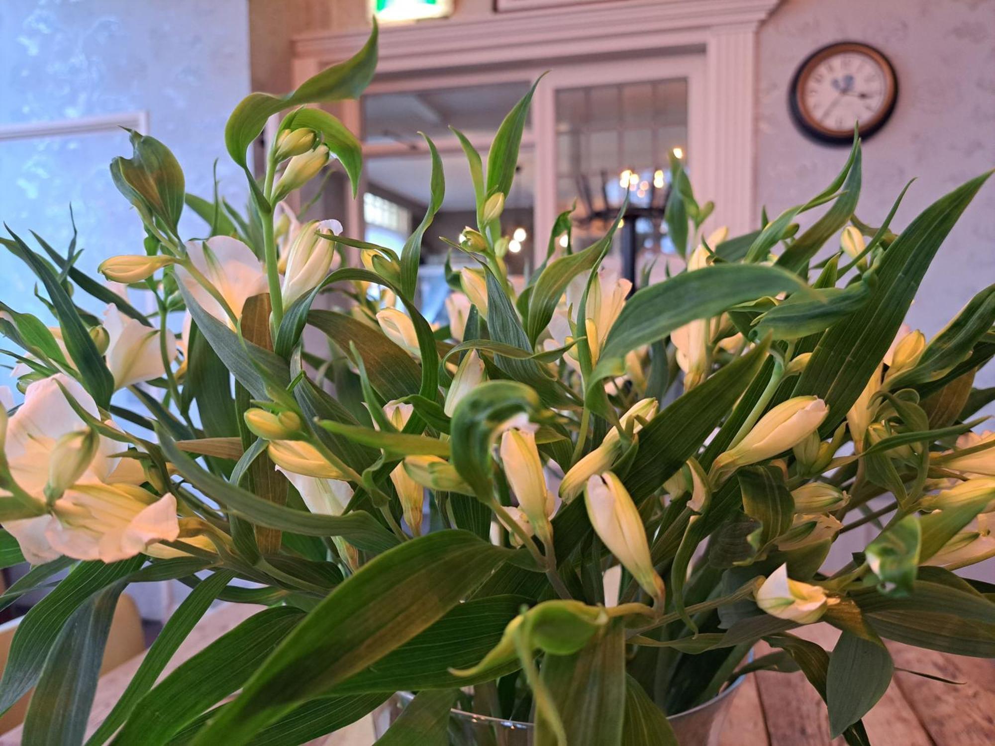 Hotel Restaurant Boven Groningen Делфзейл Екстериор снимка